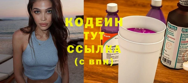 дживик Весьегонск