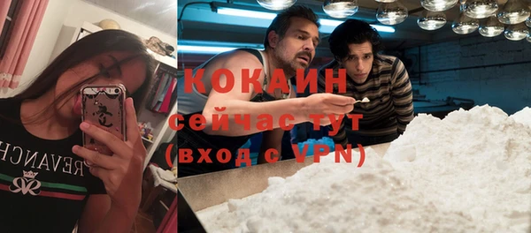 гашик Видное