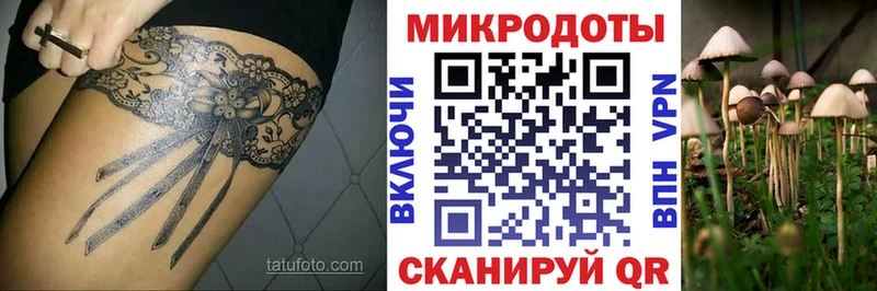 как найти закладки  Багратионовск  Галлюциногенные грибы мухоморы 